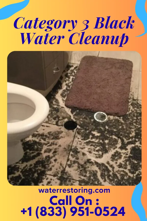 Category 3 Black Water Cleanup in Twisp, WA