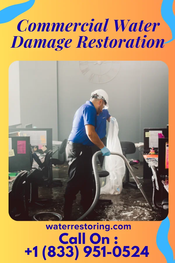 Commercial Water Damage Restoration in Twisp, WA